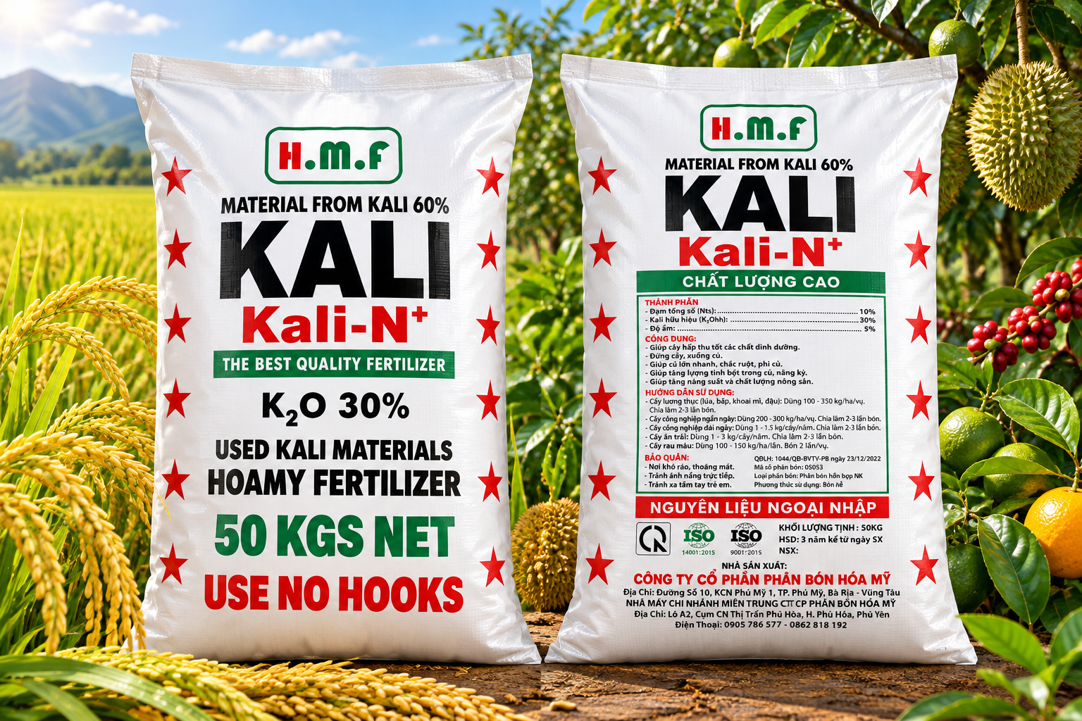 KALI - N+